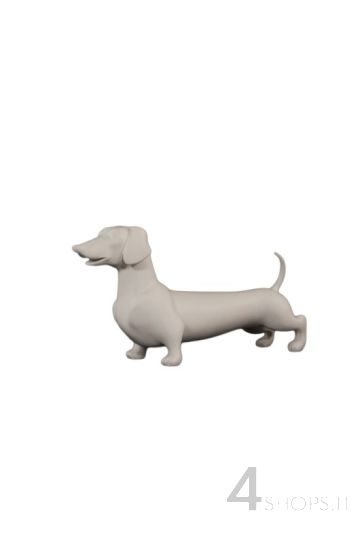 CANE BASSOTTO BIANCO - LATO SX